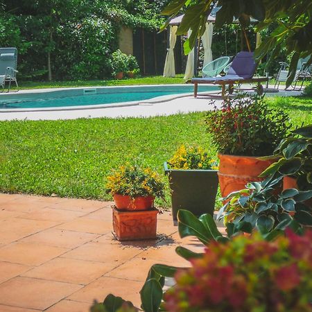 Apartment Nona Ancka Marezige Bagian luar foto