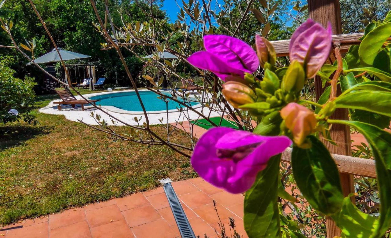 Apartment Nona Ancka Marezige Bagian luar foto