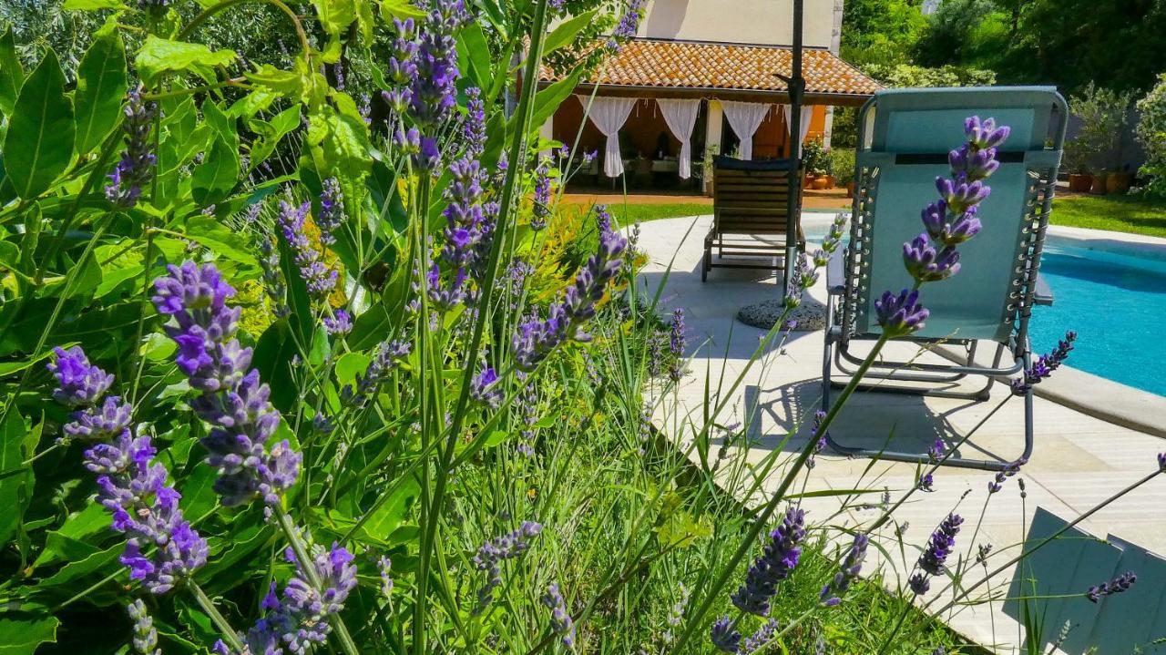 Apartment Nona Ancka Marezige Bagian luar foto