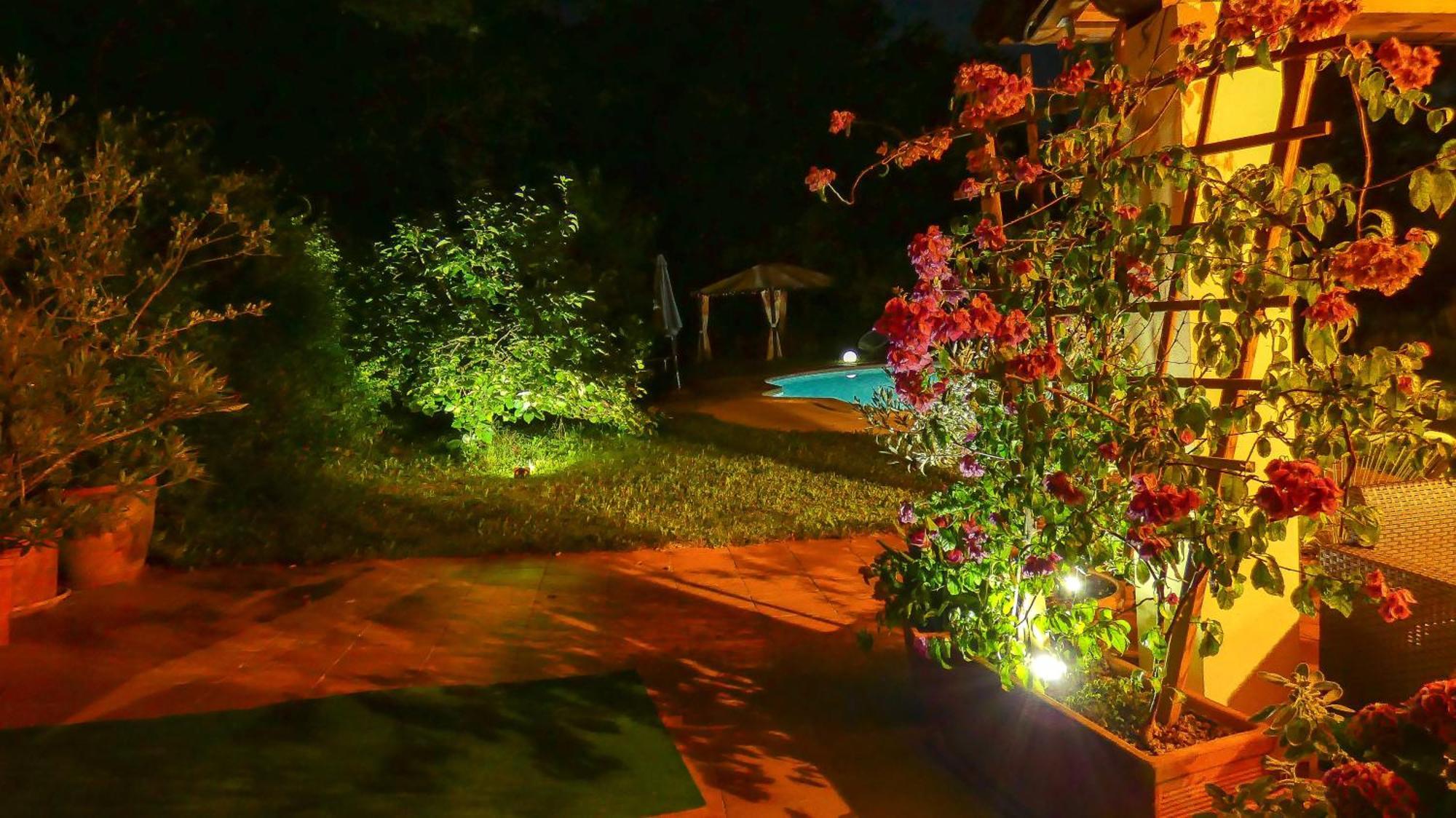 Apartment Nona Ancka Marezige Bagian luar foto